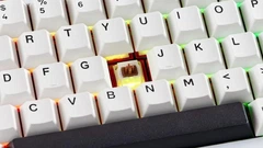 593511830.jpg