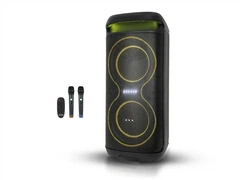 Акустична переносна колонка ZXX-5570 30Вт 2x6