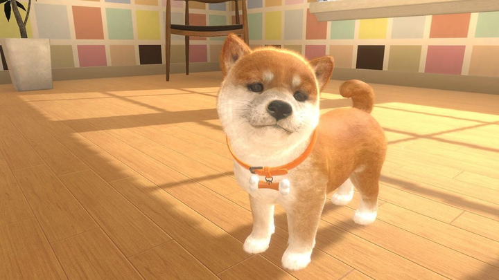 Nintendo Switch LITTLE FRIENDS - DOGS & CATS - Little Friends: Dogs & Cats for Nintendo Switch - Nintendo