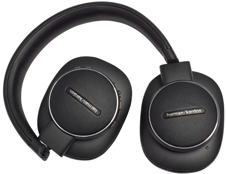 Наушники Harman/Kardon Fly ANC Black (HKFLYANCBLK) купить в
