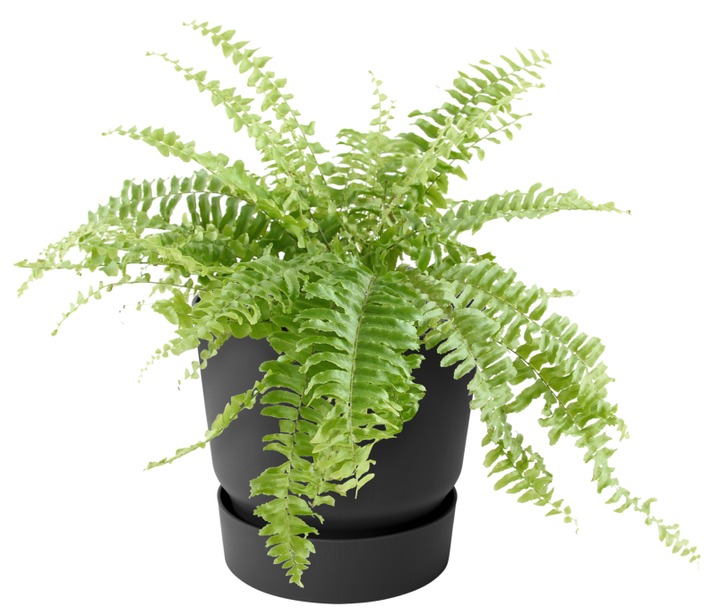 Вазон Elho Greenville Plant Hanger Single 23 см Гранит (346560) - изображение 6