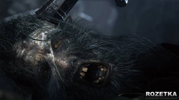 ROZETKA » Игра Bloodborne для PS4 (Blu-ray диск) купить в Украине