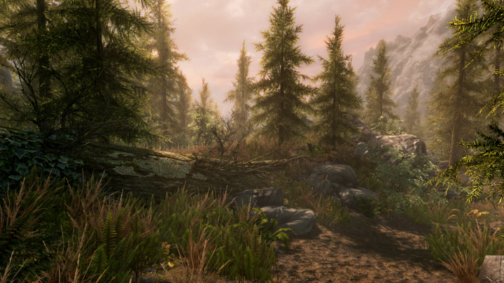 The Elder Scrolls V: Skyrim (Special Edition) (російська версія) PS4 - Фото 2 The Elder Scrolls V: Skyrim (Special Edition) (російська версія) PS4 - изображение 2
