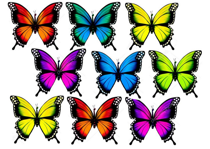 Красивая бабочка рисунок