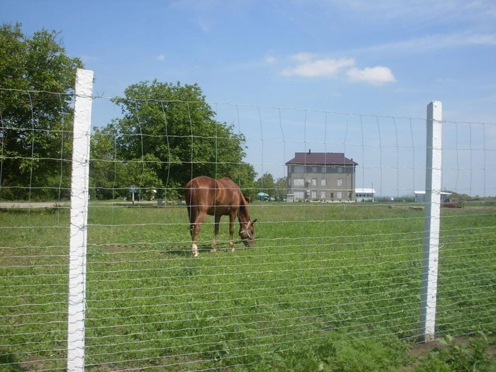 Сетка лесная шарнирная Заграда Фермер 200/17/15 высота 2.0м длина 50м облегченная - изображение 2