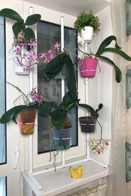 Распорка для орхидей и высоких растений