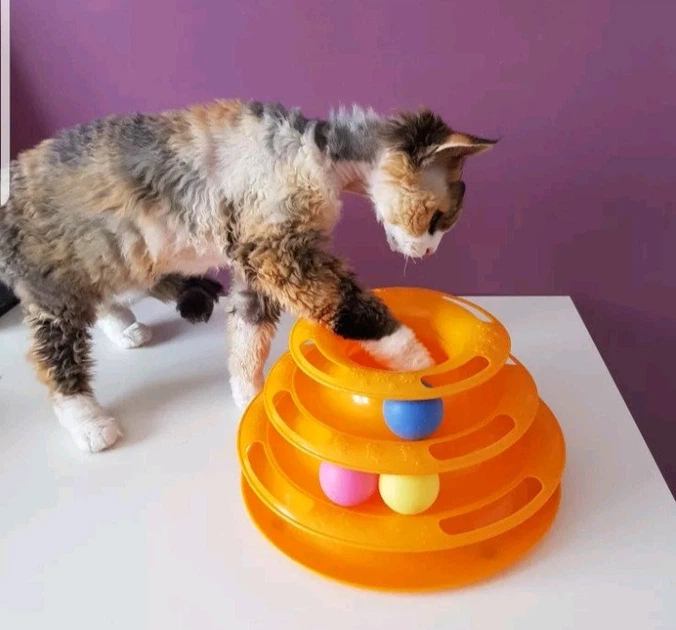 Игрушки трикси для кошек. Игрушка для кошек kitty round bout. Игрушка для кошки "круглая башня", ф 25 см/13 см. Игрушки для кошек круглая башня. Трек круглая башня д/кошек 25см/13см трикси 41345.