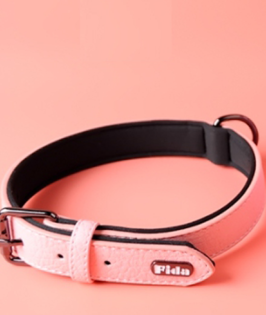 Fida Collar leash L 38 48