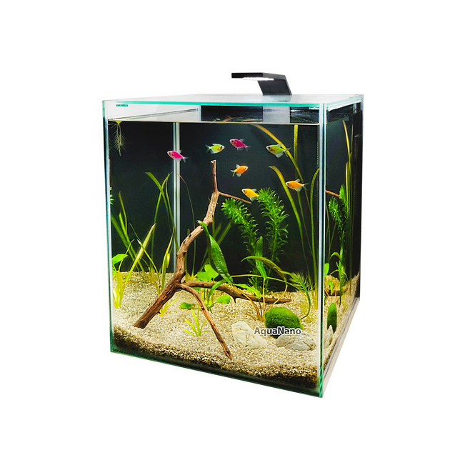 Аквариум Aqua Glo прямоугольник на 10л. день/ночь с рыбками тернеция GloFish