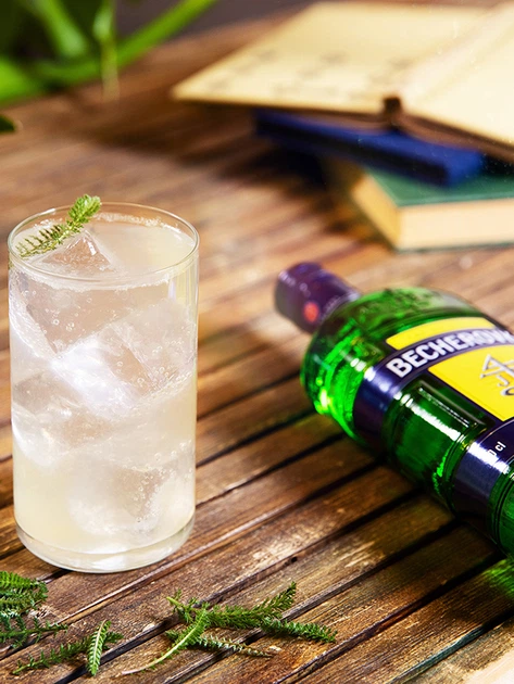 Ликерная настойка на травах Becherovka 0.7 л 38% (8594405101049) - Фото 7 Ликерная настойка на травах Becherovka 0.7 л 38% (8594405101049) - изображение 7