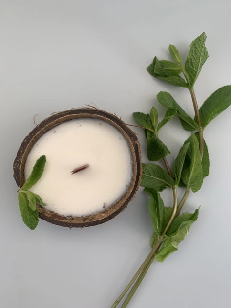Ароматическая свеча Tvoj svet соевая в скорлупе кокоса с добавлением натуральных эфирных масел Мята - изображение 1