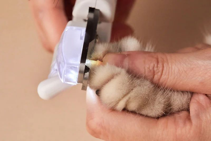 Кусачки Petkit LED Pet Clipper (2001002260575) - зображення 13