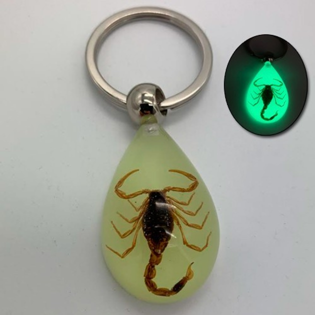 Брелок с Скорпионом Scorpion Bracelet светиться в темноте – фото ...