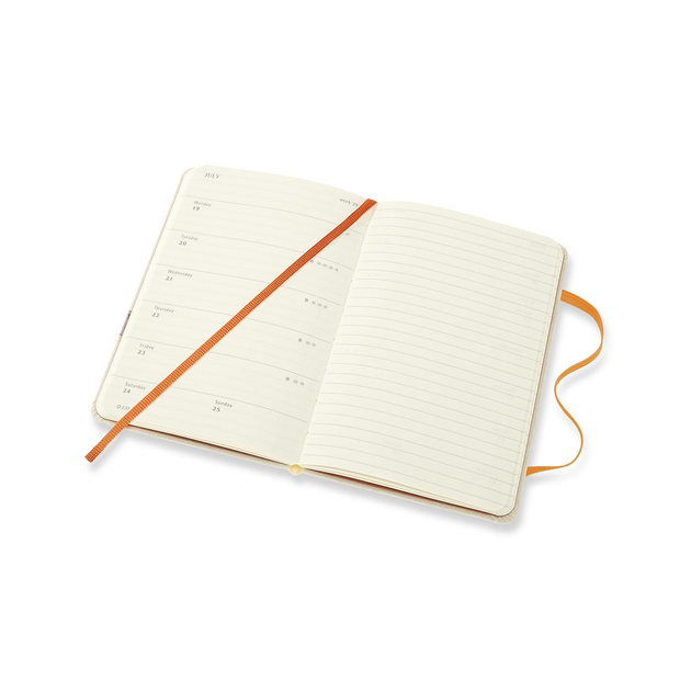 Moleskine 2021 deals planner