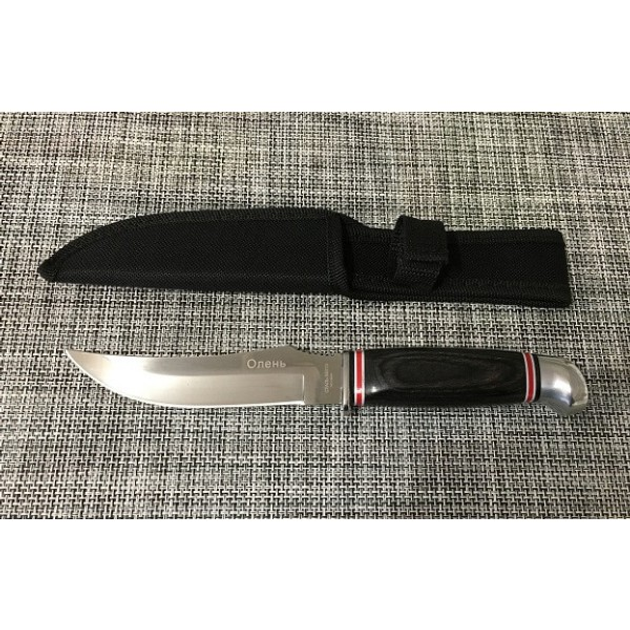 Охотничий нож 22,5 см CL A19 c фиксированным клинком (00000XSFB604 /АК19) - изображение 1