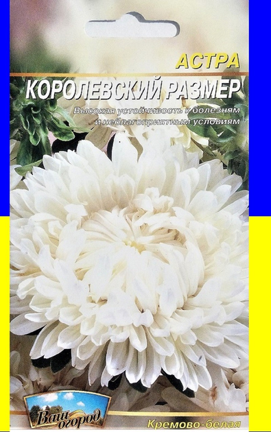 Астра Королевский размер кремово-белая 0,2 г Весна – фото, отзывы ...