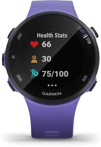 Спортивные часы Garmin Forerunner 45s Iris (010-02156-01/11) - Фото 6 Спортивные часы Garmin Forerunner 45s Iris (010-02156-01/11) - изображение 6