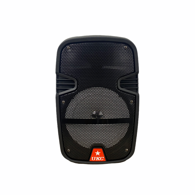 Аудио система беспроводная портативная bluetooth колонка HS-008BT - изображение 5