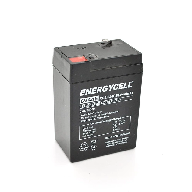 Аккумуляторная батарея Energycell RB640CS6V4Ah 6V, 4Ah RB640CS6V4Ah (A) - изображение 1