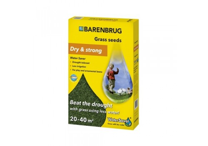 Газонная трава Barenbrug Засухоустойчивая Water Saver Dry strong 1 кг ...