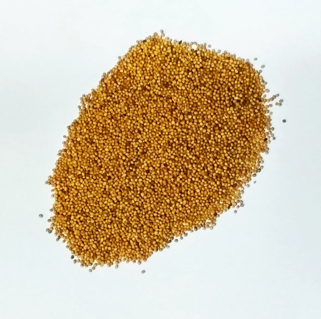 Семена горчицы желтой 1 кг (Насіння країни) – фото, отзывы .