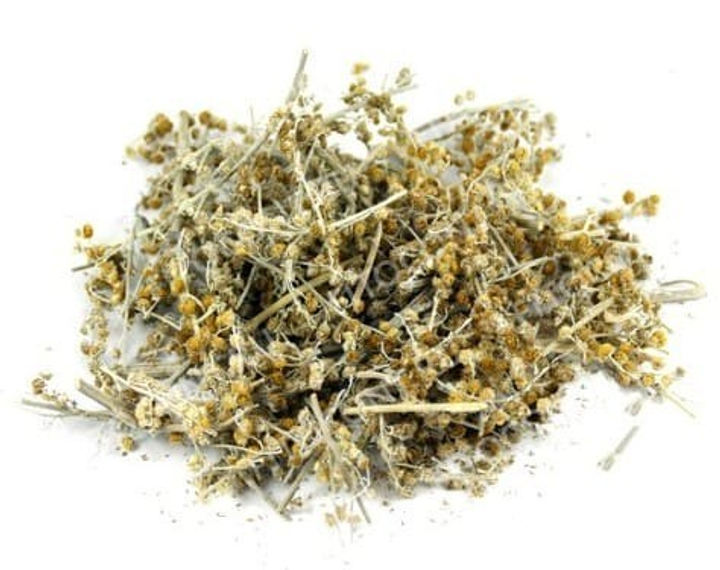 Полин гіркий (трава) 1 кг - зображення 1