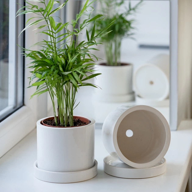 Керамічний горщик для рослин Mini Plant 9x11,5см Циліндр Білий - зображення 2