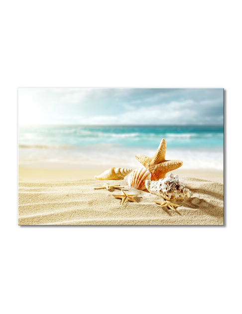 Картина Море ракушки и морская звезда на песке 180х100