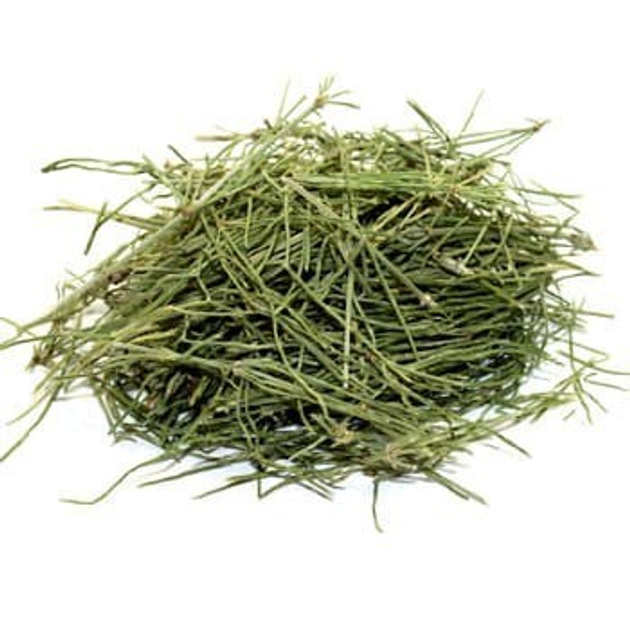 Хвощ полевой (трава) 0,5 кг - изображение 1