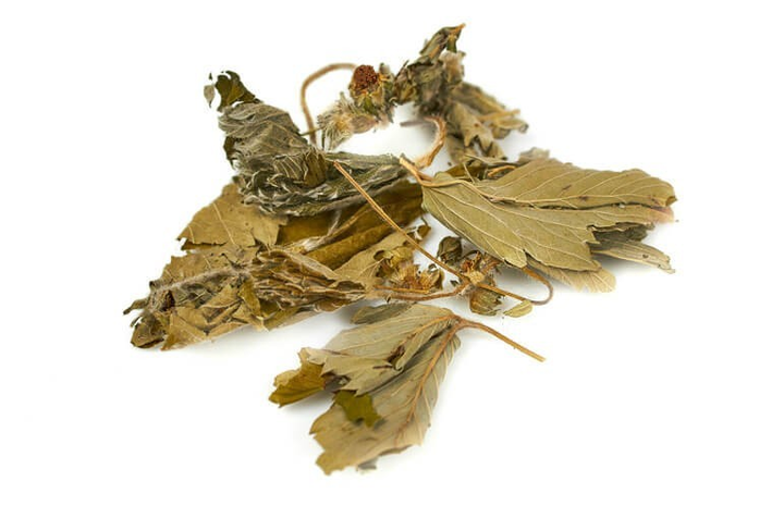 Суниця (листя) 0,5 кг - зображення 1