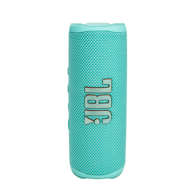 JBL Flip 6 Teal (JBLFLIP6TEAL) – фото, отзывы