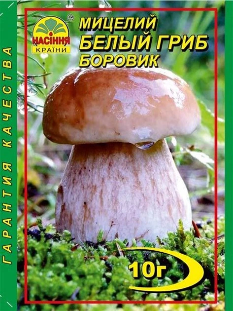 Гриб боровик - ROZETKA | Купить мицелий боровика в Киеве: 📝 отзывы ...