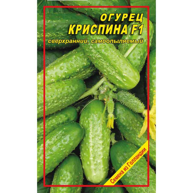 Семена огурцов Криспина - ROZETKA