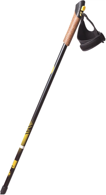 Kije do nordic walking Nils Extreme NW 603 (NW_603-25-1-010) - obraz 2