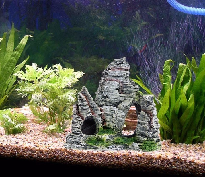 Декор для аквариума: виды, достоинства и недостатки, как купить декор