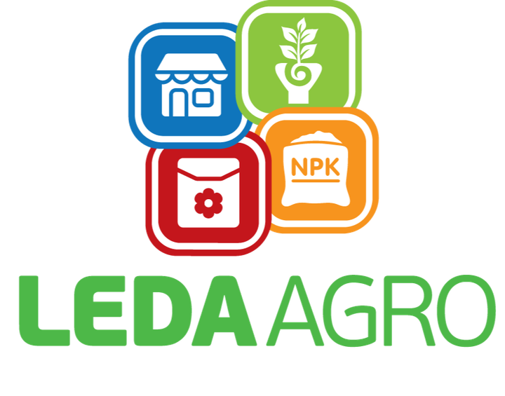 Кюрлі Салат Насіння Leda Agro 10 шт - изображение 11