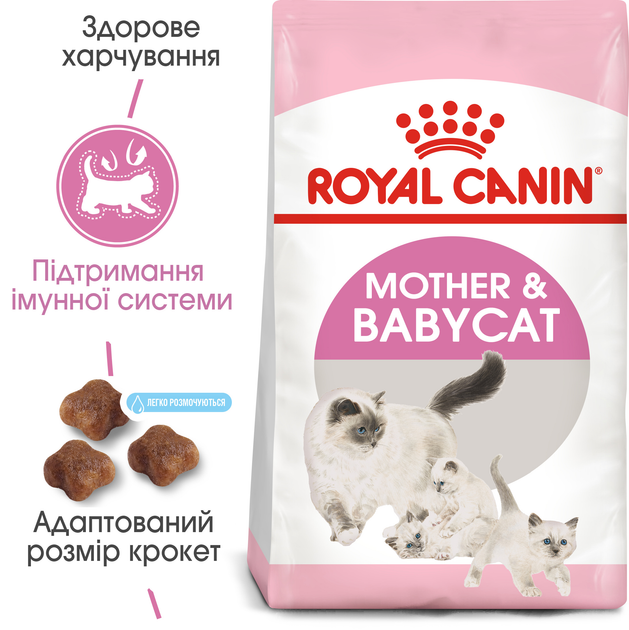 Royal canin professional outlet mother and baby cat