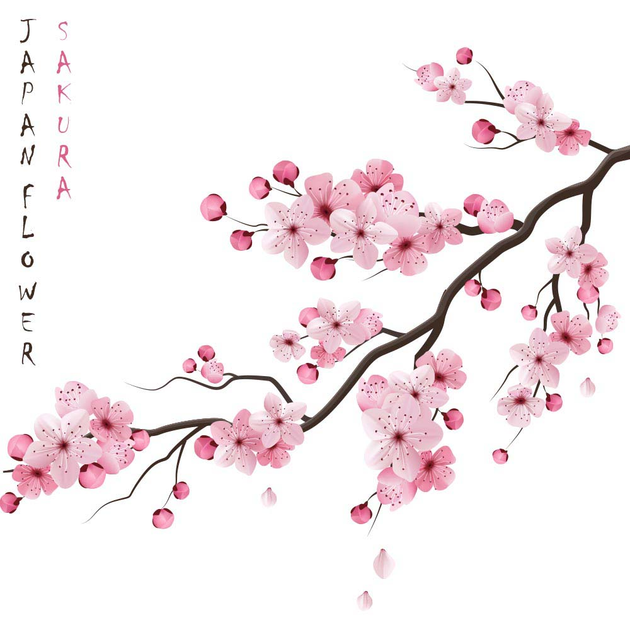 Ускользающая красота Сакуры, символ Японии. | Ваш карманный гид | Дзен