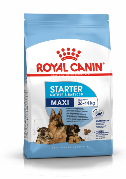 Сухой корм для собак Royal Canin MAXI STARTER для кормящих собак и щенков крупных пород 4кг - Фото 5 Сухой корм для собак Royal Canin MAXI STARTER для кормящих собак и щенков крупных пород 4кг - изображение 5