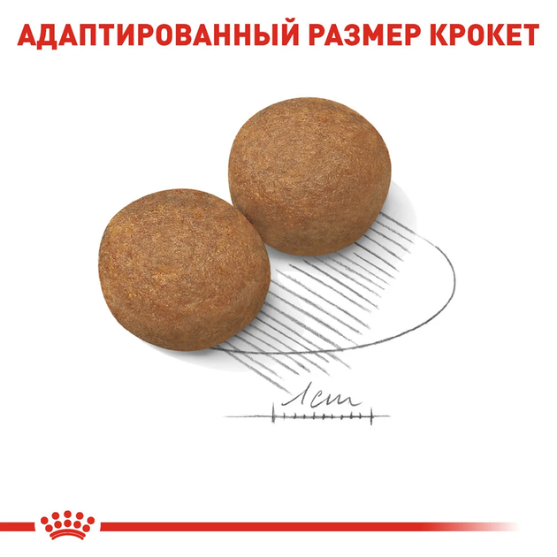 Сухой корм Royal Canin Maxi Adult для собак крупных пород 15+3 кг (10924) - изображение 2