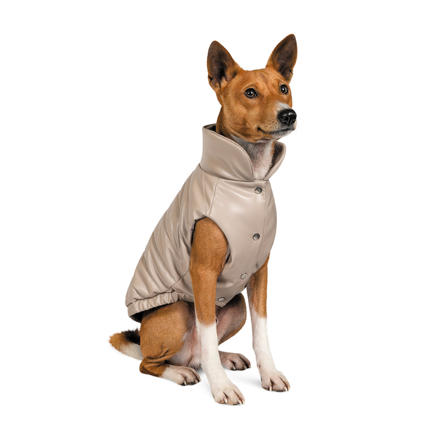Жилет для собак Pet Fashion «Bright» XS (бежевий) от продавца: lick ...