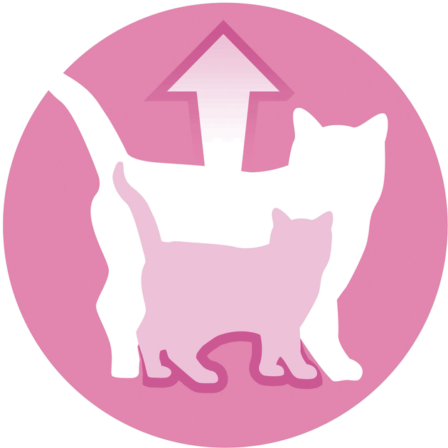Упаковка вологого корму для кошенят Purina One Junior з лососем та морквою 26х85 г (7613287901965) - зображення 5