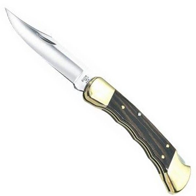 Нож Buck Folding Hunter 110BRSFGB - изображение 1