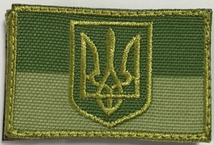 Шеврон на липучці Прапор України з Тризубцем 6х3,5 см Safety Оливково-зелений - зображення 1