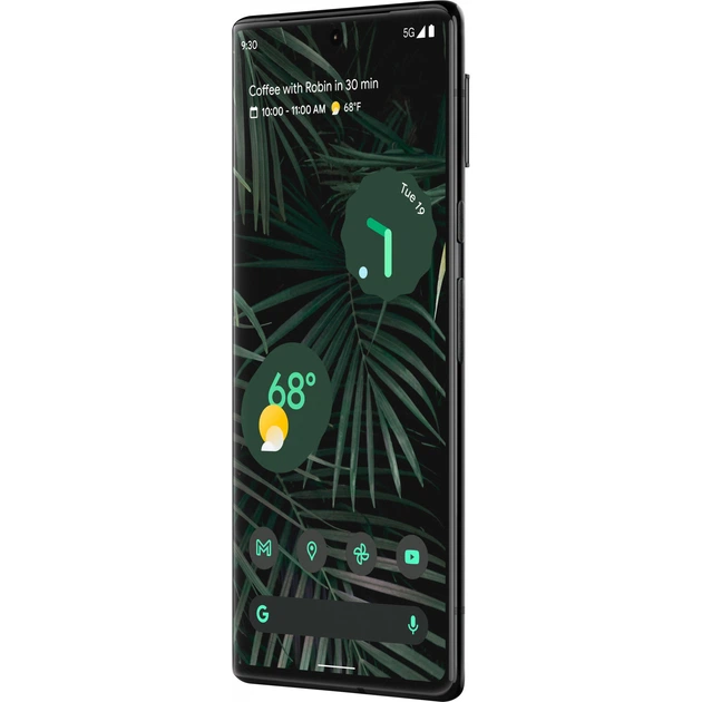 Смартфон Google Pixel 6 Pro 12/128GB Stormy Black – фото, отзывы