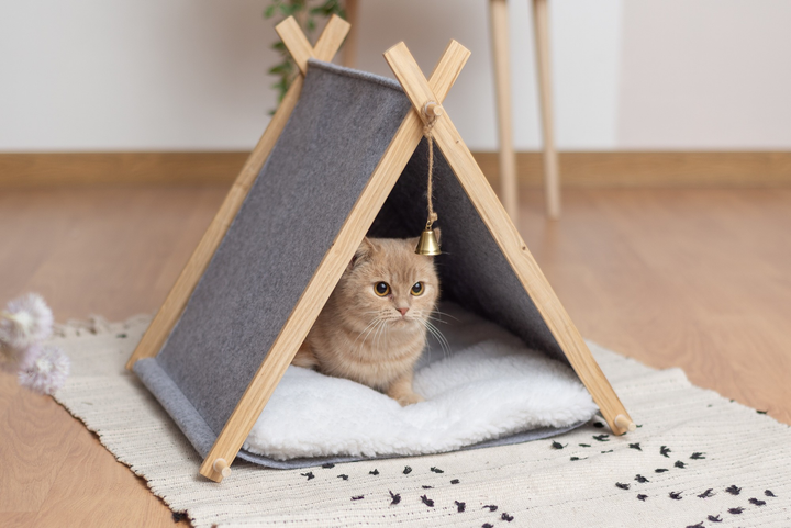 Палатки для Кошек – Купить с Доставкой в Зоомагазине