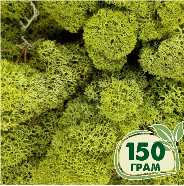 Стабилизированный мох ягель Nordic moss Зеленый светлый 150 грамм - изображение 1