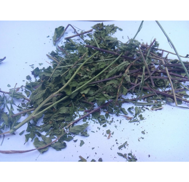 Мята перечная трава сушеная (упаковка 5 кг) - изображение 1