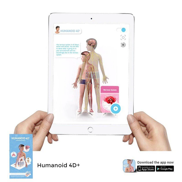 Навчальні карти Humanoid 4D+ з доповненою реальністю Анатомія 4D+ - Фото 4 Навчальні карти Humanoid 4D+ з доповненою реальністю Анатомія 4D+ - зображення 4