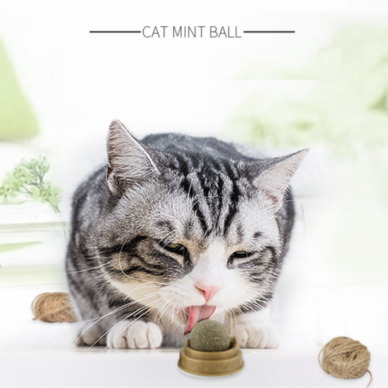 Кошачья мята игрушка для котов Вкусняшка CatNip - Фото 4 Кошачья мята игрушка для котов Вкусняшка CatNip - изображение 4
